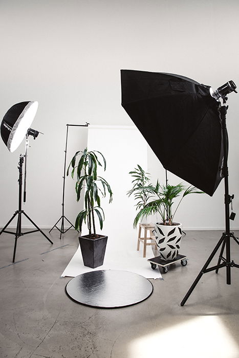 Photo of a photography studio setup with plants and a white background