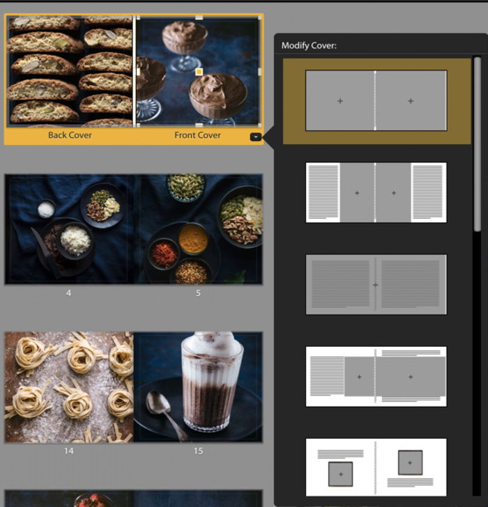 Illustrative photo of Lightroom book module