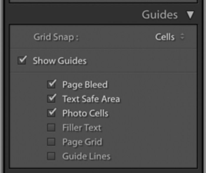 Illustrative photo of Lightroom guides menu