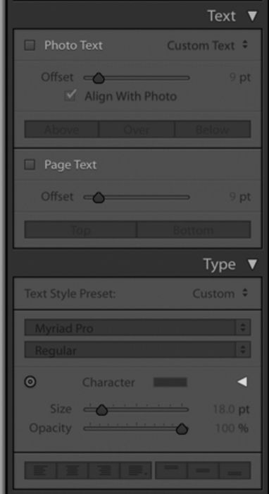 Illustrative photo of Lightroom type menu