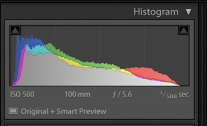 Screenshot of histogram in Lightroom