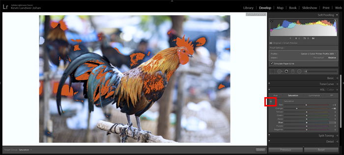 a screenshot showing how to use Lightroom Soft Proofing