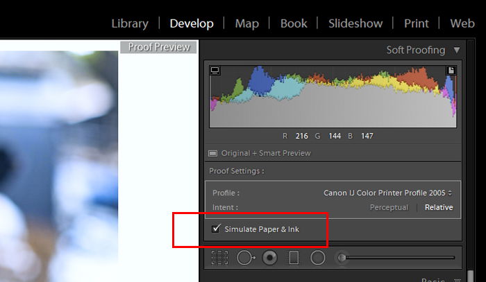 a screenshot showing how to use Lightroom Soft Proofing