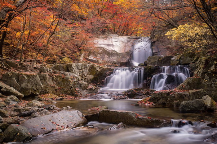 Photo of a waterfall in a forest