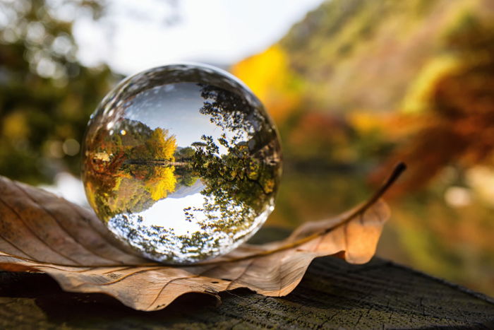 a lensball resting on a leaf and reflecting a beautiful Autumn landscape