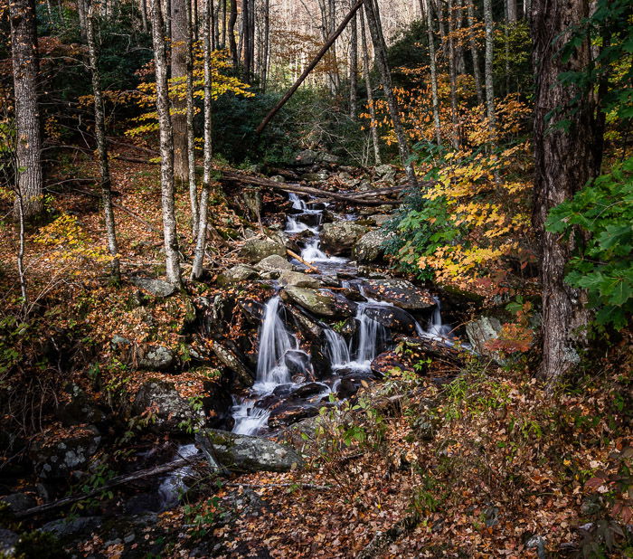 A river flowing through a forest shot using a camera bean bag