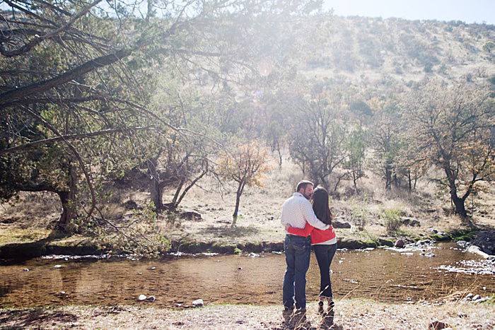 A couple photographed from behind during an engagement photo shoot