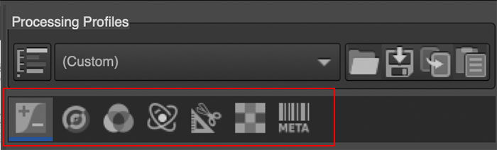 icons within the Editor tab for seven sections: Exposure, Detail, Color, Advanced, Transform, RAW, Metadata.