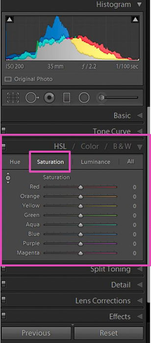 a screenshot of adjusting the white balance of a photo in Lightroom