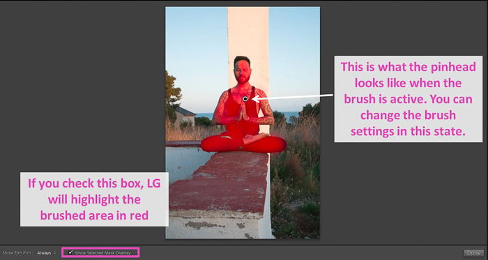 a screenshot of adjusting the white balance of a photo in Lightroom