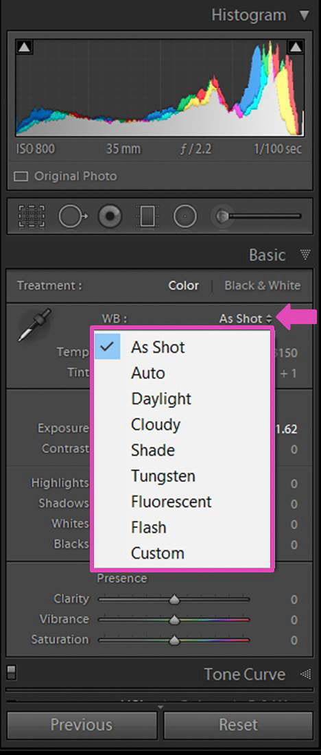 a screenshot of adjusting the white balance of a photo in Lightroom