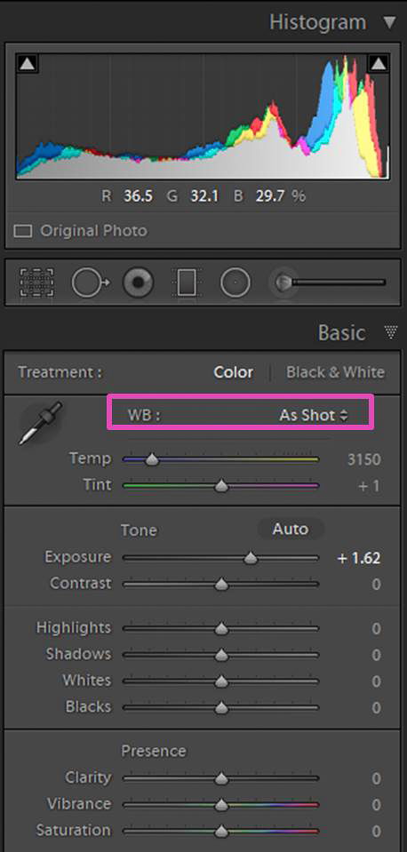 a screenshot of adjusting the white balance of a photo in Lightroom