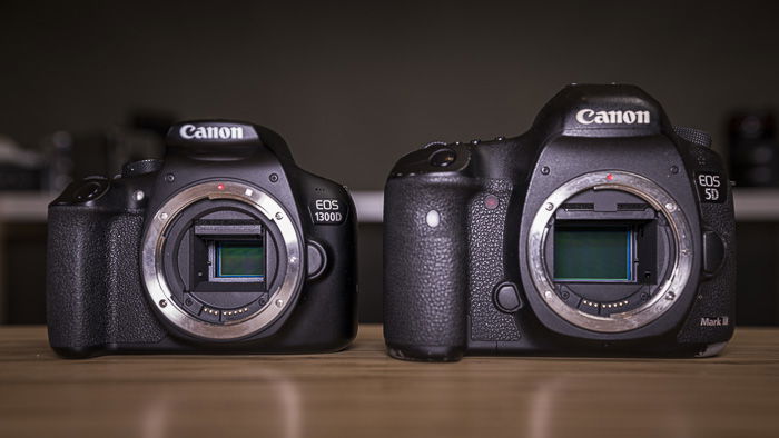 An APS-C and a full frame Canon camera