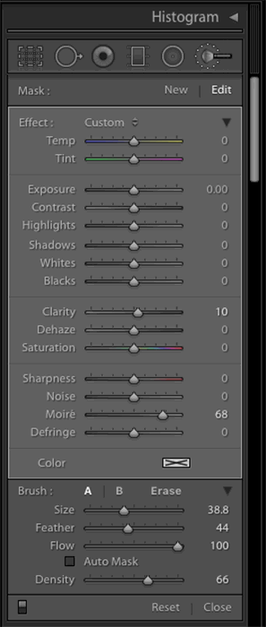 a screenshot showing how to use Lightroom's Adjustment Brush to Get Rid of Moiré Patterns