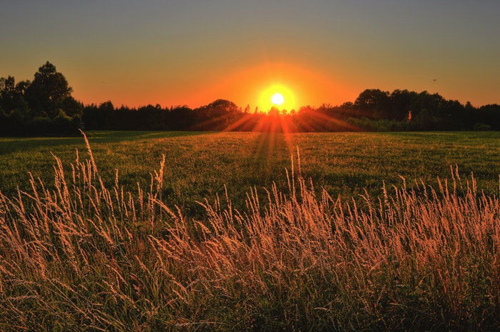 A sunset over wheat and a grass field with trees for time-lapse photography