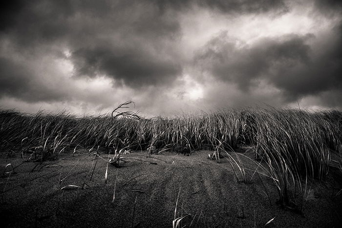 moody black and white landscape shot 