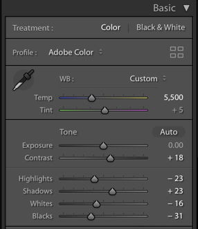 A screenshot of using the basic panel in Lightroom