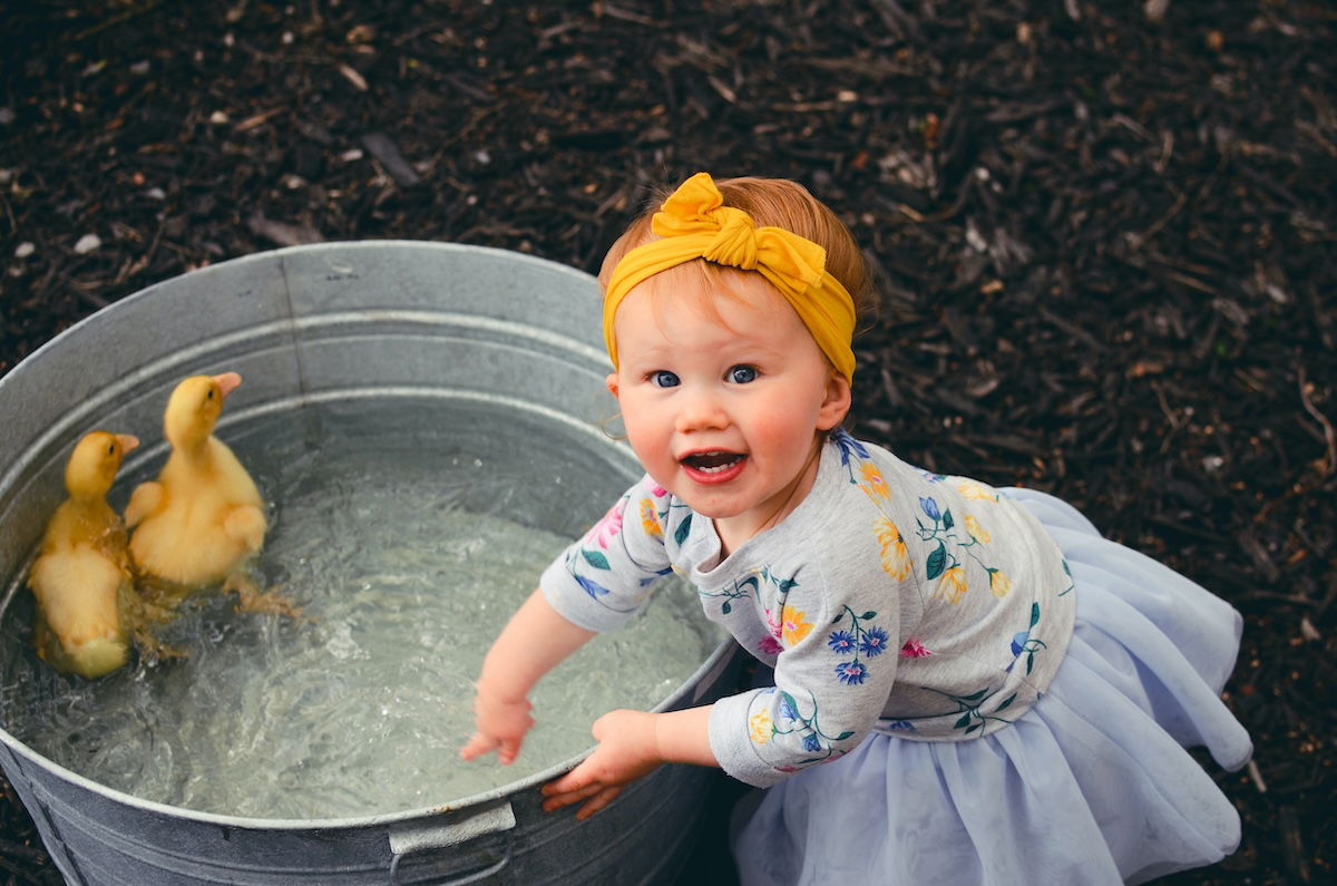 A child playing with a bin with ducklings for a kids photo pose