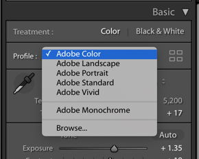 a screenshot of choosing a color profile in lightroom