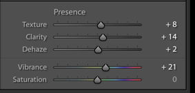 A screenshot of using the presence panel in Lightroom