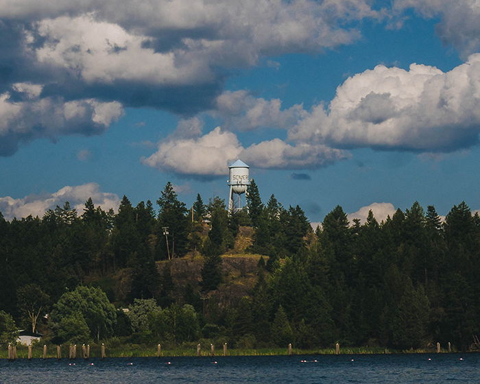 Photo of a water tower in the woods