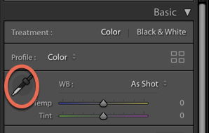 a screenshot of the eyedropper tool in Lightroom