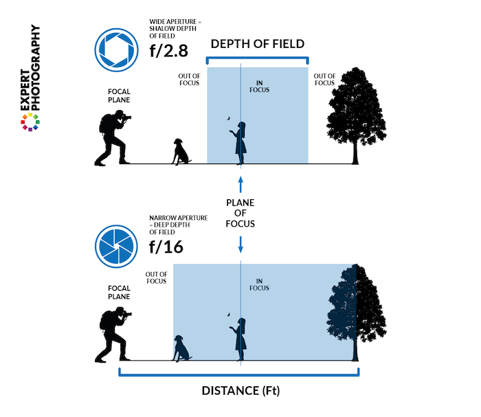 Aperture and depth-of-field infographic for camera settings