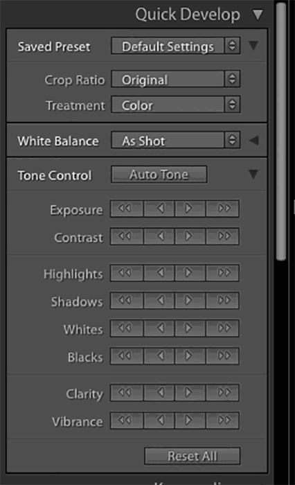 A screenshot of the quick develop module in Lightroom