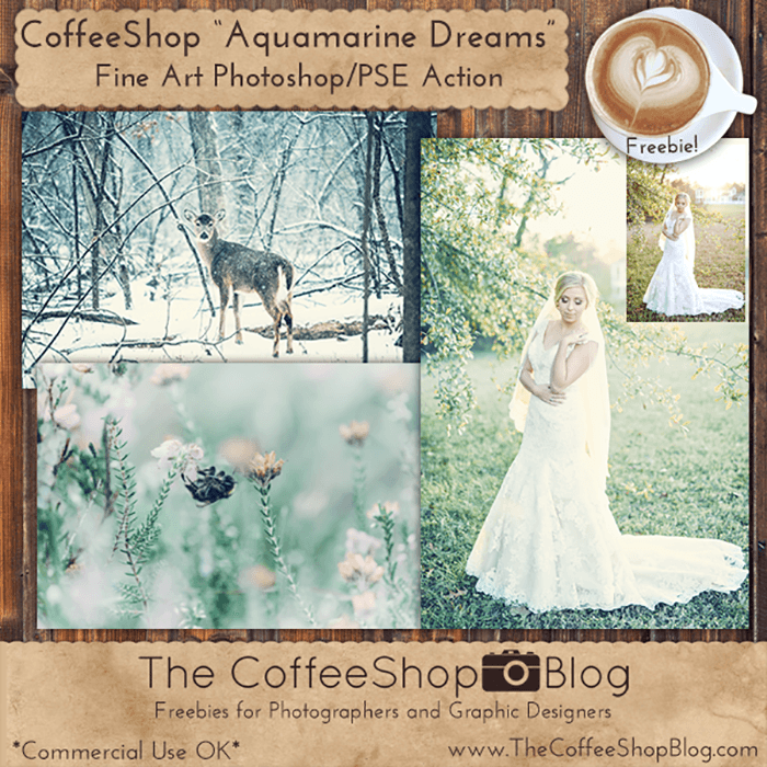 Screenshot of Aquamarine Dreams Photoshop Actions with wildlife, plant, and wedding photos