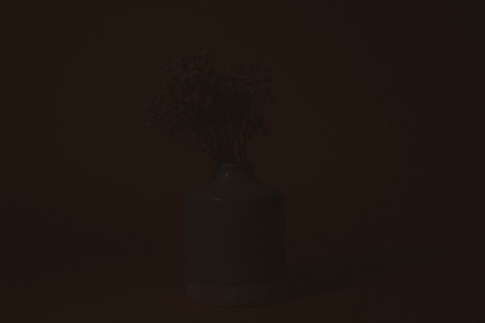 a picture of a vase of flowers with ISO 100.