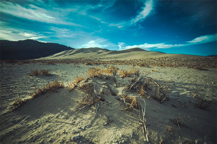 A desert landscape