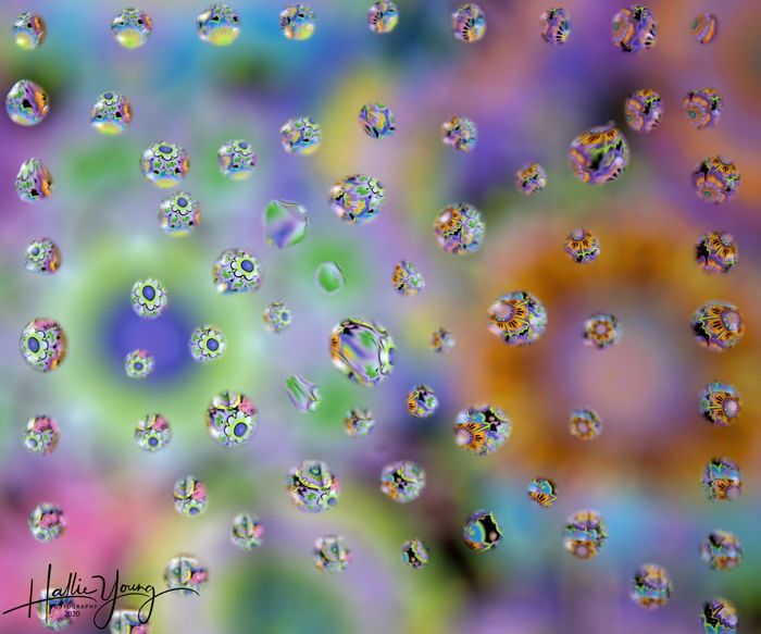 Colorful Water Drop Photography by Hallie Young