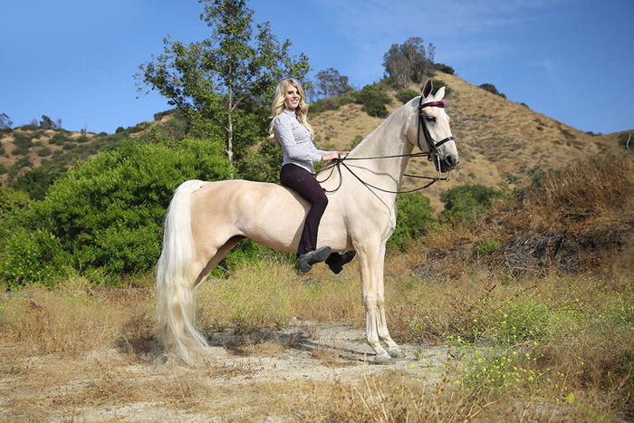 A woman sitting on a white horse outdoors