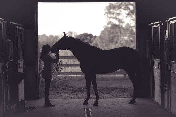 Silhouette of a woman kissing a horse