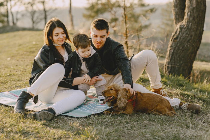 Family portrait having a picnic with their dog as an example of family photos with pets