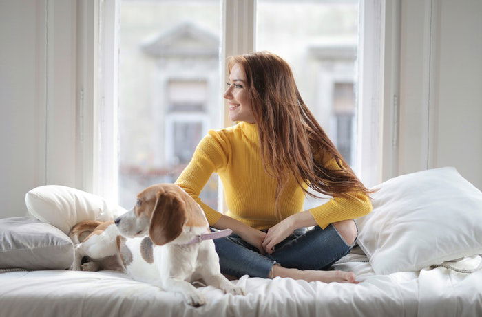 A girl sitting on a bed with a dog as an example of family photos with pets