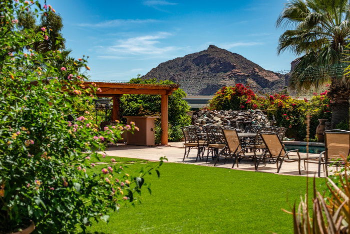 A garden with a mountain in the background