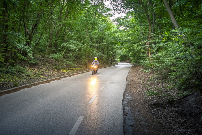 A motorbike riding down a road surrounded by trees