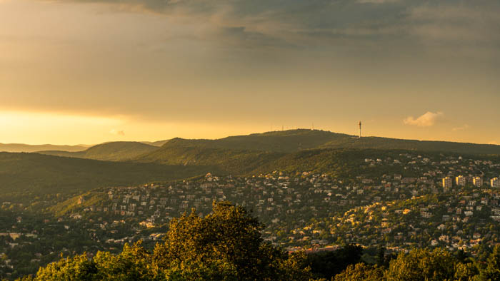 A beautiful green landscape at evening time 