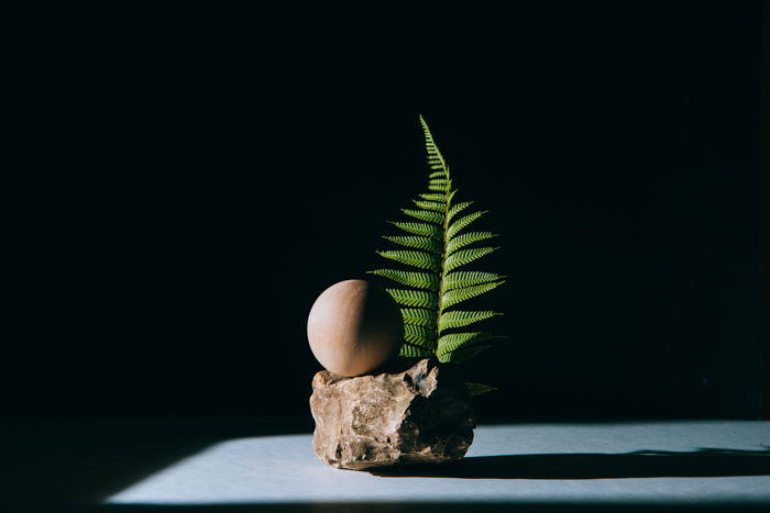 photo of a still life composition of a small rock and a leaf in low key lighting