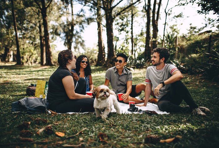 A group of four friends having a picnic in a forest