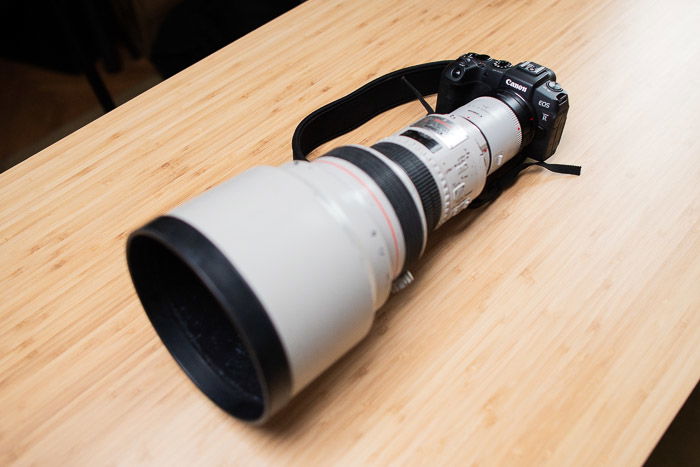 Canon EOS RP camera with huge lens attached