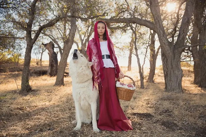 Atmospheric portrait of a little girl in a red cape beside a wolf