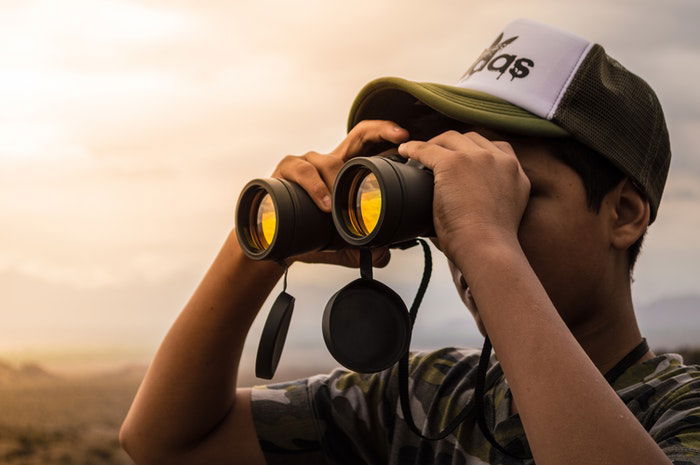 binoculars for wildlife