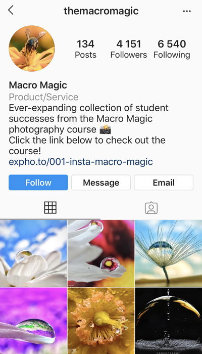 Screenshot of Expertphotographys Macro Magic Instagram page