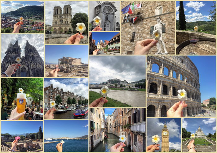 A large photo series grid of travel photos with a little flower in each shot