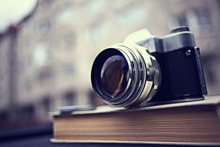 A cameraon a book against a blurred cityscape.