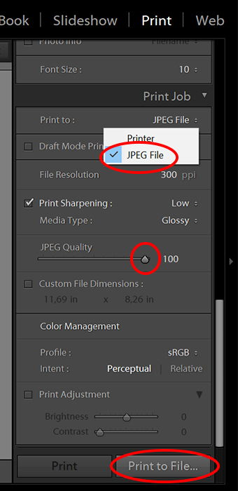 Screenshot of editing black and white photo in Lightroom