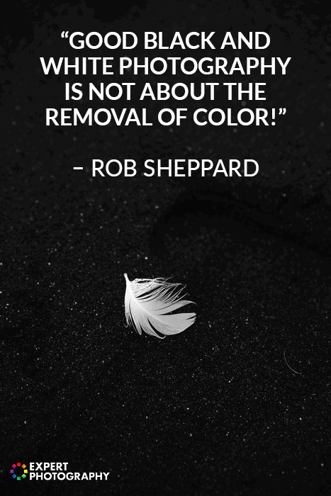 black and white photography with quote overlayed