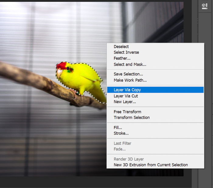 A screenshot of creating a new layer in Photoshop